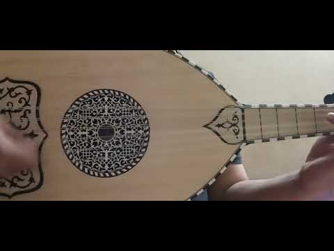 Women size palisander Oud