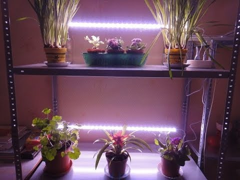 Полки Для Цветов Купить В Леруа