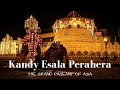 Kandy Esala Perahera | Sri Dalada Maligawa | English Speech & Essay | Grade 4, 5 English | Kandy