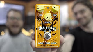 Video thumbnail for To Shimmer or not to Shimmer - Caline Wonderland Ambient Reverb Machine by TheSuperFunAwesomeHappyTimePedalShow