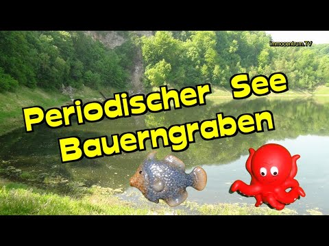 HARZ ! Bauerngraben🌲🌲🌳🏵periodischer See-Naturwunder im Südharz * v. 2018-2020*Video* HWN 213🦆🦢🦉🦤🦩🐧🐾🐊