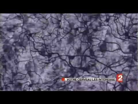 pourquoi la publicité nous influence t elle