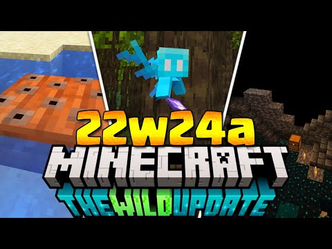 UN NUOVO SNAPSHOT!? - Minecraft ITA 1.19.1 Snapshot 22w24a