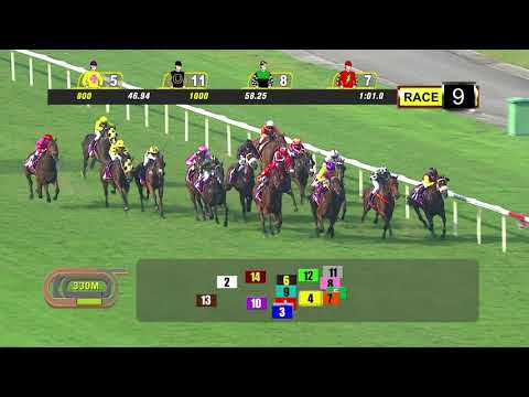 Jumbo Jet Trophy 2018 (Preditor)