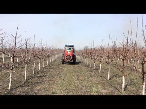 Pentru cei ce vor sa planteze o livada !!!