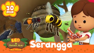 Download lagu PETUALANGAN TERBAIK BERSAMA SERANGGA MENYERAMKAN! 🦋🐝🐜 | Serangga | Leo Si Penjaga Alam | #hewan mp3