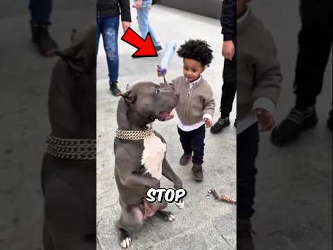 This Kid Never Stop Hitting The Dog Untill 😱😱😱