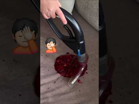 The Best Cleaning Vacuum of 2025