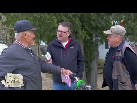 Vedere cu olteni la Lișteava