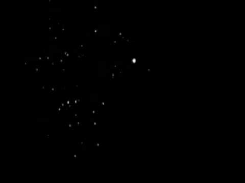 SUNNY SHELL-4" Silver Strobe Willow Crossette.mpeg