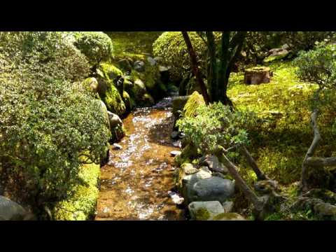 Thastor - Summer Umbrella