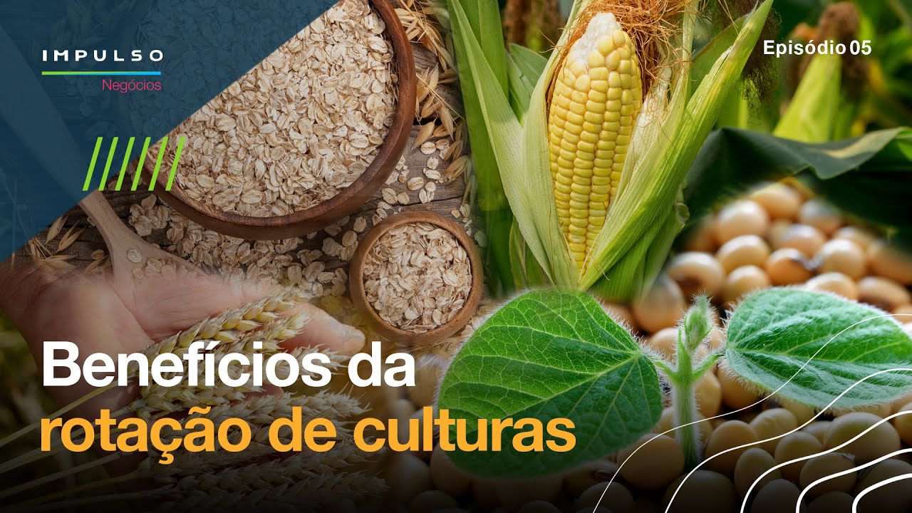 Rotação de Culturas: O Que É, Como Fazer e Vantagens para a Lavoura | Impulso Negócios EP. 05