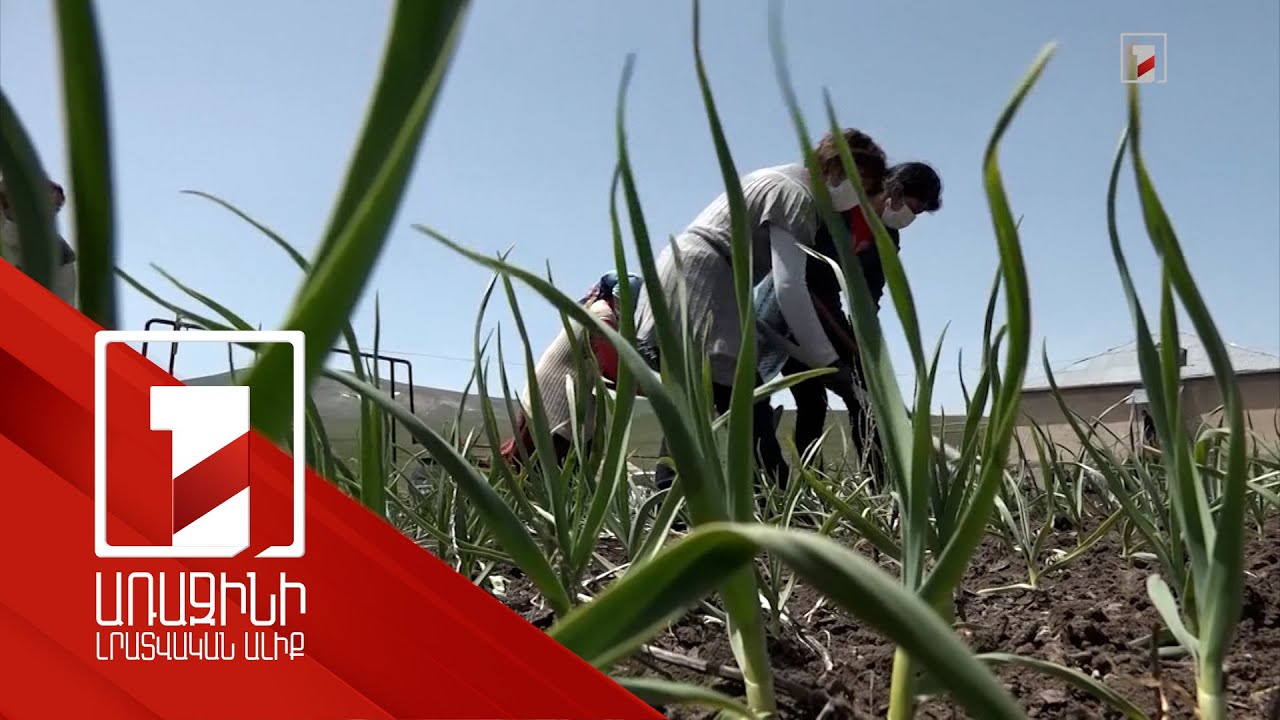 Մեր խնդիրն է, որ մարդն, աշխատելով հողի վրա, կարողանա լուծել սոցիալական խնդիրները. վարչապետ