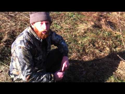 How to track a black bear and  knowing what to look for in your area (ursus americanus)