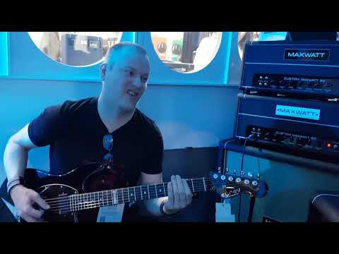 Fortin design Hiwatt Maxwatt