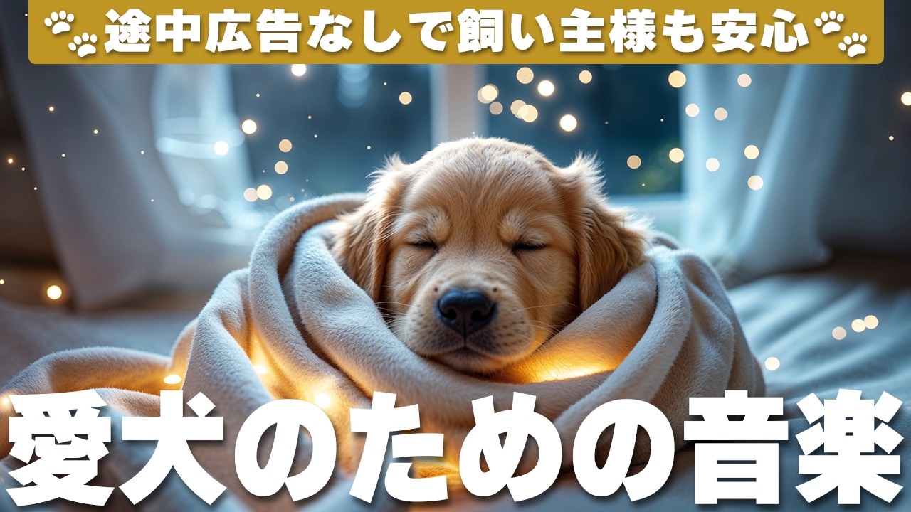 犬が落ち着く音楽 (12時間広告なし) 🐶 愛犬がリラックスする音楽 | 癒しのピアノ / 愛犬のストレス解消 / vol.894