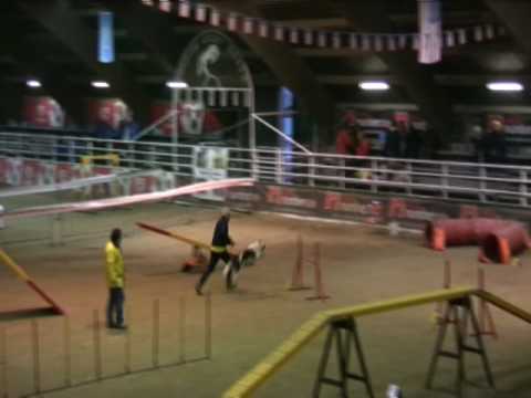 Yashin Agility Voghera 050109