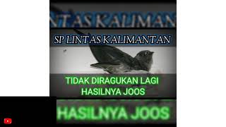 Download lagu sp lintas Kalimantan semoga cocok di RBW teman-teman petani walet mp3