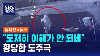 "도저히 이해가 안 되네"..황당한 도주극 / SBS