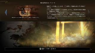 [#4}仁王2をただやっていく配信