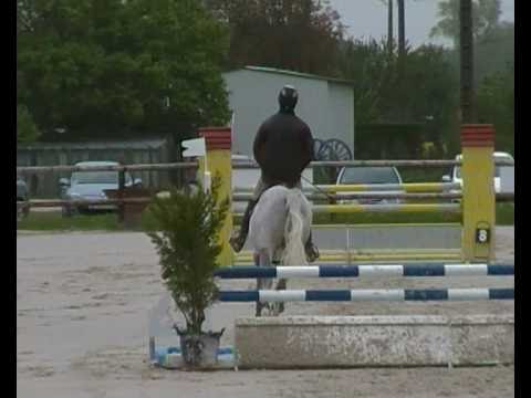 ♥ Rock and roll In life- jumping horse  by Cassini I