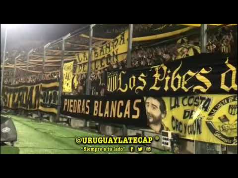 "Hinchada de Peñarol  |  La copa libertadores es mi obsesión ðŸŽ¶   @URUGUAYLATECAP #SiempreATuLado" Barra: Barra Amsterdam &bull; Club: Peñarol