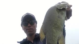 朝田直敬 撮影　野尻湖 ディープの釣りが好調