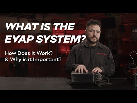 What is the EVAP System on Your Car? How Does It Work? & Why is it Important? | AutoLine Pro