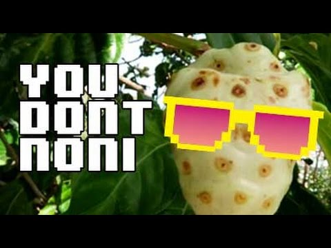 You Don't Noni: The Juicing and Tasting of a Miracle Fruit