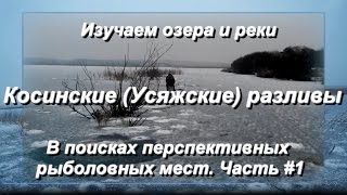 Ссылка