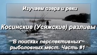 preview picture of video 'Косинские (Усяжские) разливы. Рыбалка в Беларуси. Ищем рыболовные места Минской области'