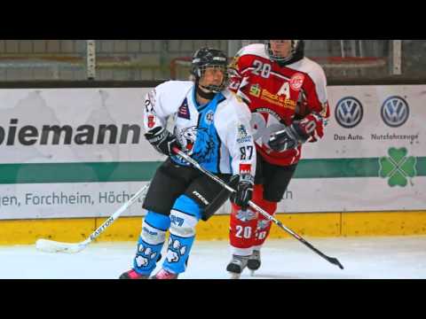 ESC Höchstadt Fraueneishockey, Eishockeydamen 2015