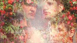 Starfucker // STRFKR - Beach Monster