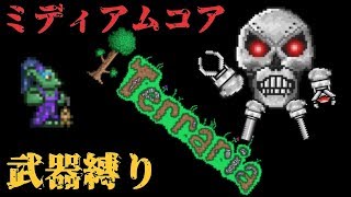 【Terraria】ミディアムコアと武器縛りで死ぬテラリア【マルチ実況】part11