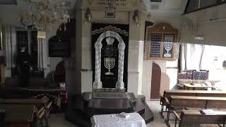 בית המדרש חזון יעקב • פורים דמוקפים תשפ'ו (בית הכנסת מוסאיוף) - התמונה מוצגת ישירות מתוך אתר האינטרנט יוטיוב. זכויות היוצרים בתמונה שייכות ליוצרה. קישור קרדיט למקור התוכן נמצא בתוך דף הסרטון