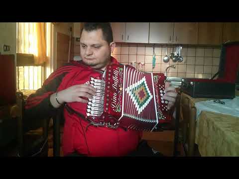 Senza giacca e cravatta - organetto 8 bassi