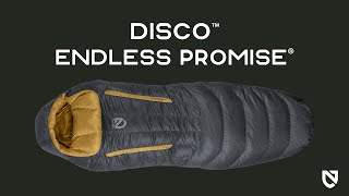 Disco Mens 30 Regular Endless Promise 2025 Chimera
