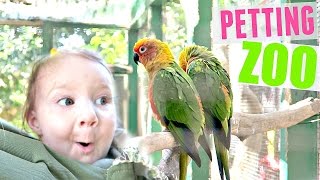 SECRET HIDDEN PETTING ZOO!