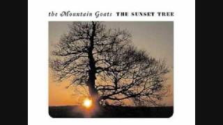 The Mountain Goats - Broom People
