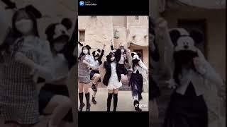 ターンとジャンプが見どころ