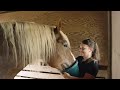 U.S. Air Force: Life on Base - Base Saddle Club