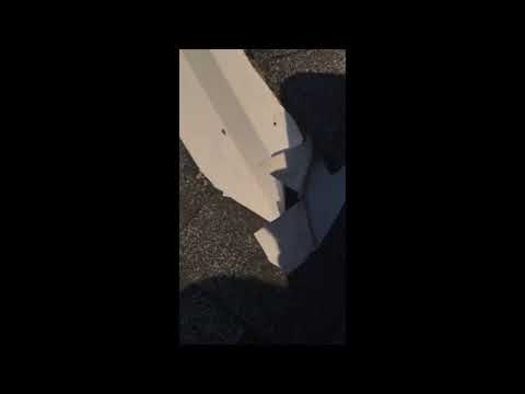 Raccoons Find Easy Access to Home in Spring Lake, NJ