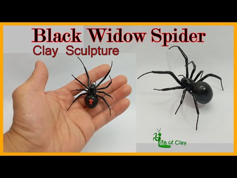 Sculpting Black Widow Spider (Latrodectus hesperus) using Polymer Clay_LifeofClay