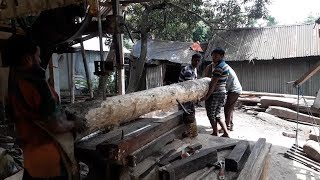 Don&#39;t Be Afraid After Watching the Long Tree Cutting by Rural Village People of Asia-Wood Cutting BD