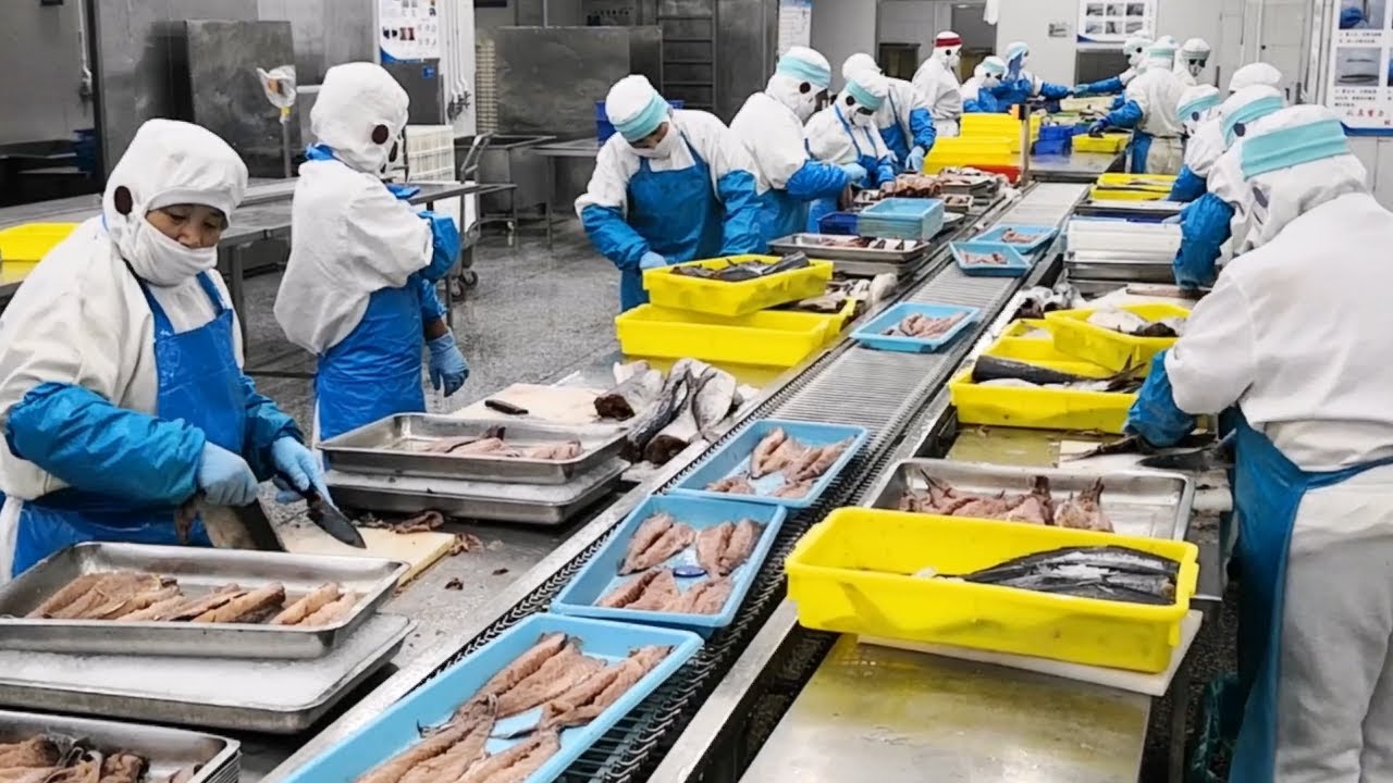 X-ray Inspection System│Remaining bone inspection system for seafood processing