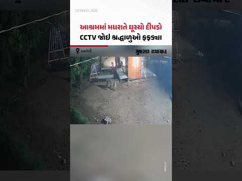 Amreliના ગઢિયા ગામે દાનેવ આશ્રમમાં મધરાતે ઘૂસ્યો દીપડો, CCTV ફૂટેજ સોશિયલ મીડિયામાં વાઇરલ