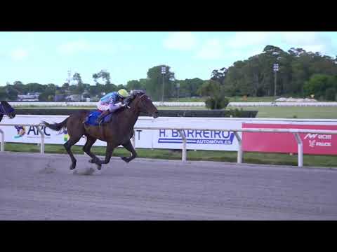 CARRERAS HIPÓDROMO MAROÑAS 22/11/25 | EN VIVO | URUGUAY