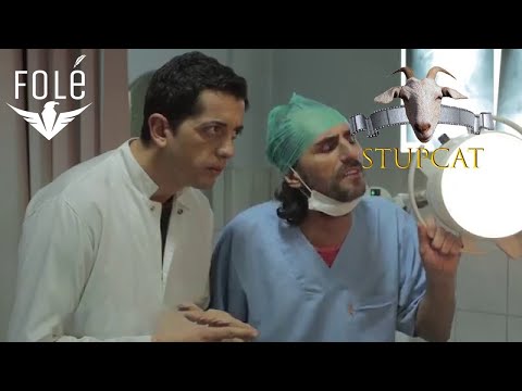 STUPCAT 2015 - Stentat