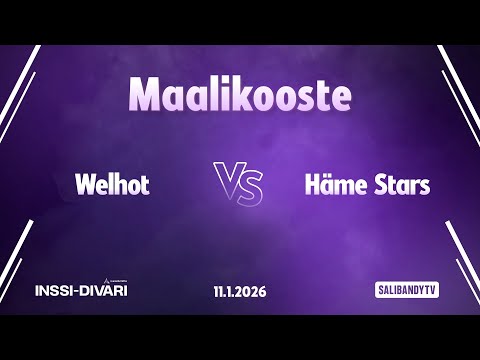 Maalikooste: Welhot - Häme Stars (Inssi-Divari N)