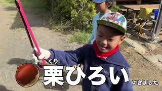 🌰 栗拾い 🐸